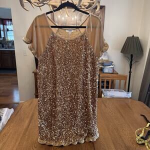 Umgee Shift Dress Velvet Sequin Ruffle Sleeve Beige Gold Lace Short L Women